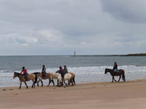 Seacliff Beach